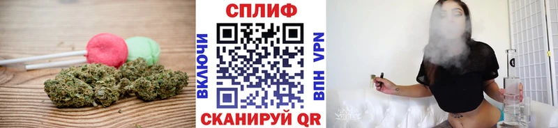 дарнет шоп  Гатчина  Canna-Cookies конопля 