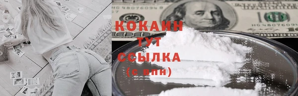 гидра Белоозёрский