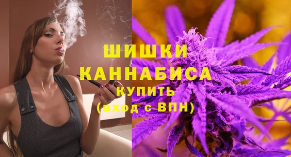 spice Тутаев