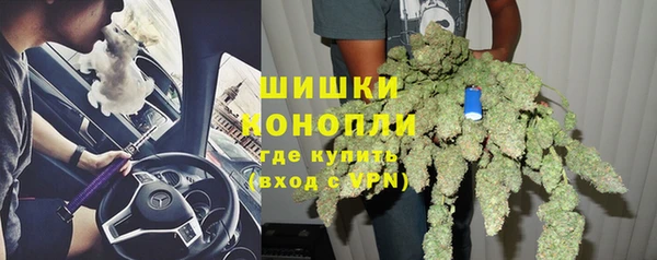 гидра Белоозёрский