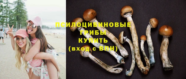 гашиш Белокуриха
