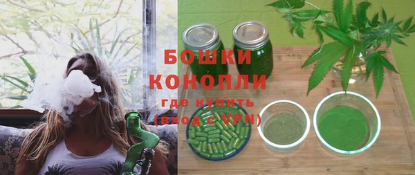 гидра Белоозёрский