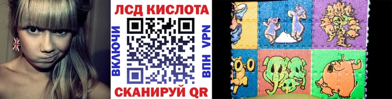 KRAKEN маркетплейс  Гатчина  Наркотические марки 1500мкг  наркотики 